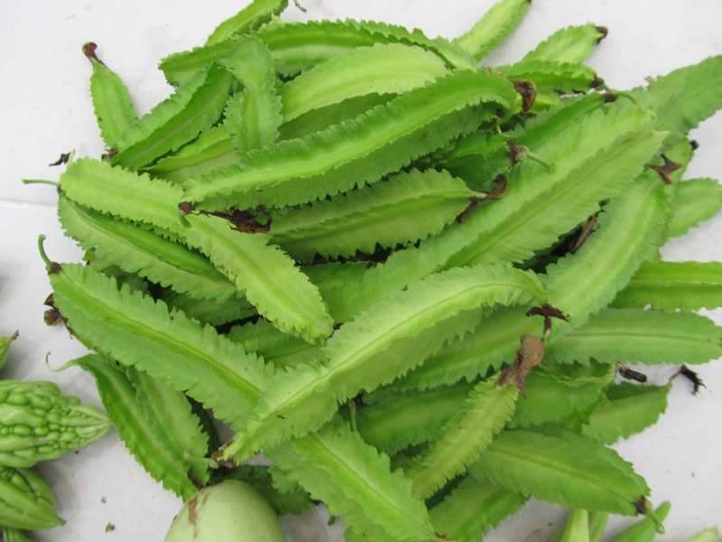 Quả Đậu Rồng
