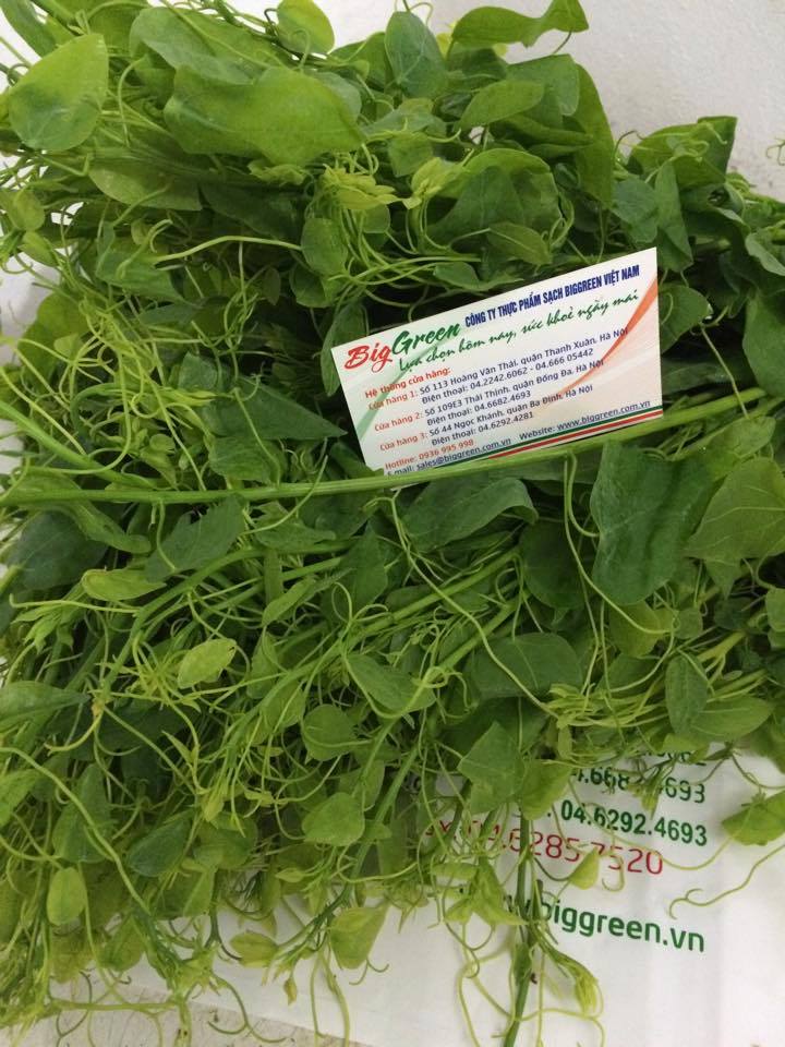 Rau bò khai