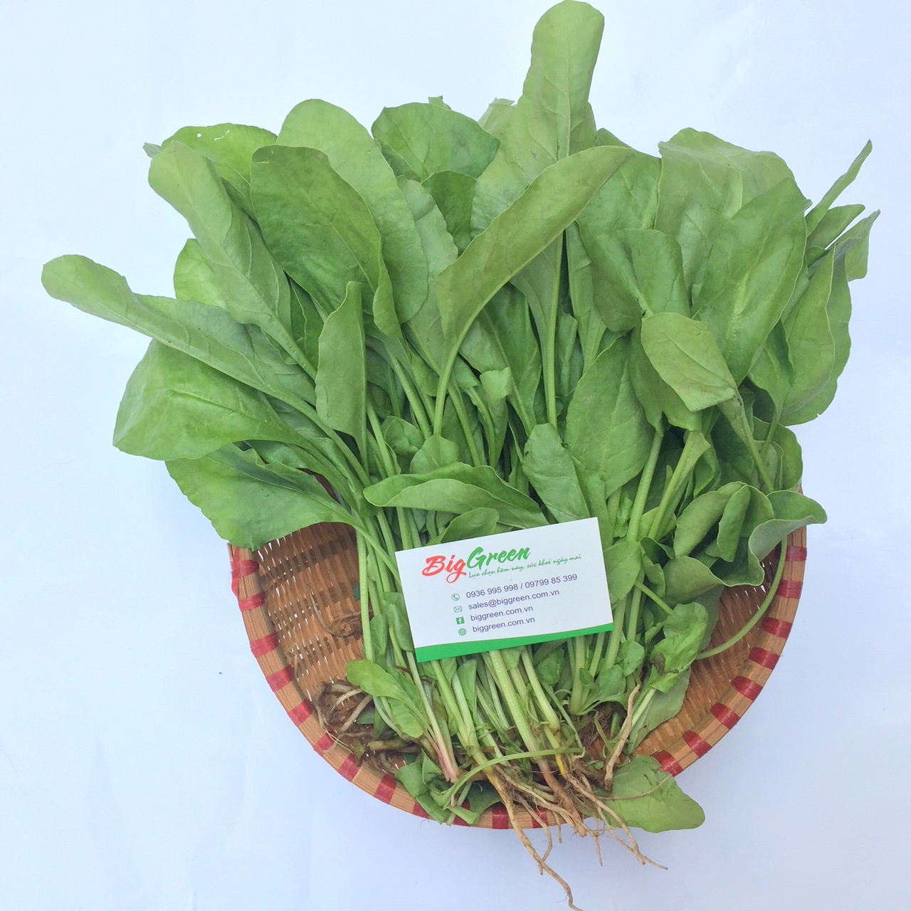 Cải Bó Xôi hữu cơ Hòa Bình Organic