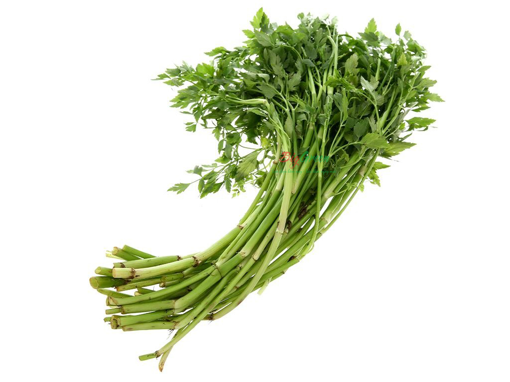 Rau cần