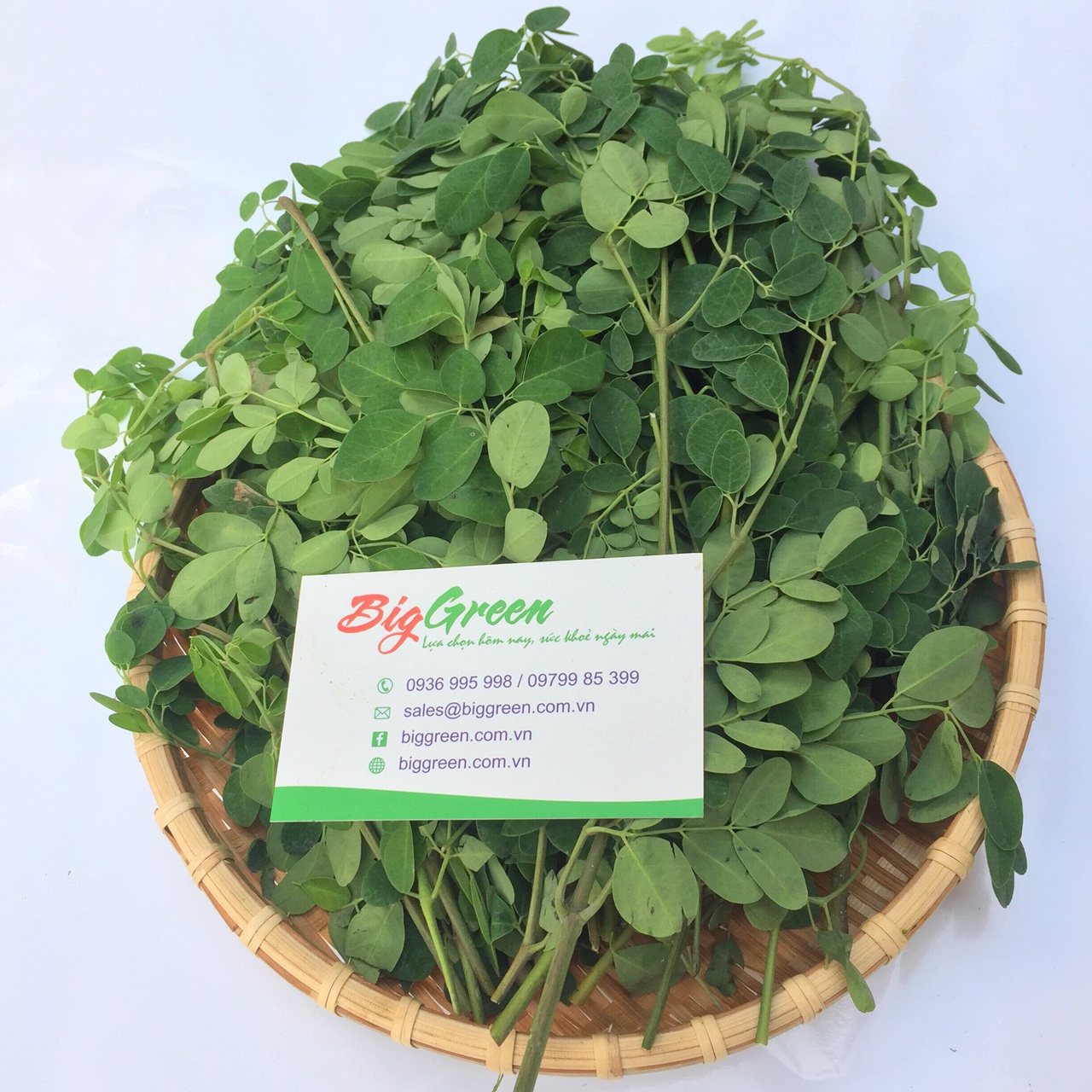 Rau Chùm ngây (Moringa)