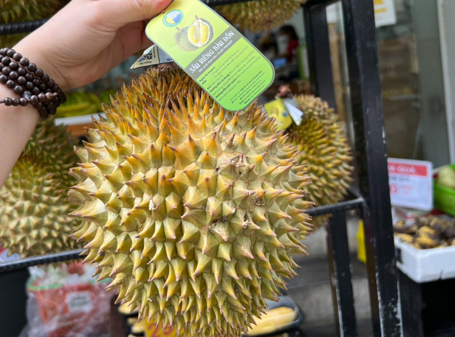 Sầu Riêng Bàu Đồn