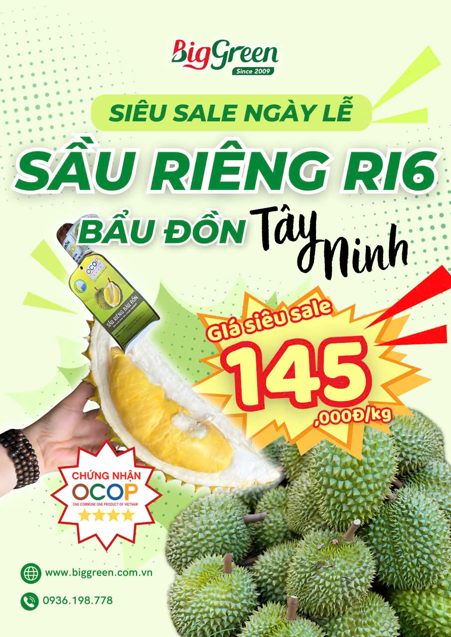 Sầu Riêng Ri6 Bầu Đồn