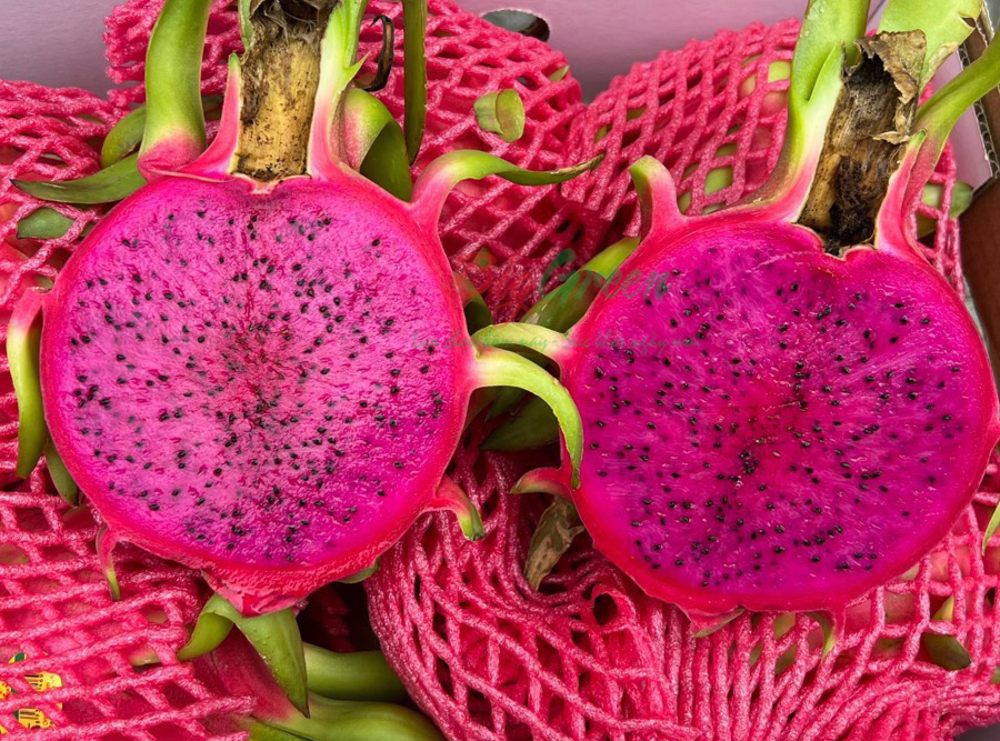 Thanh long tím hồng hoàng hậu