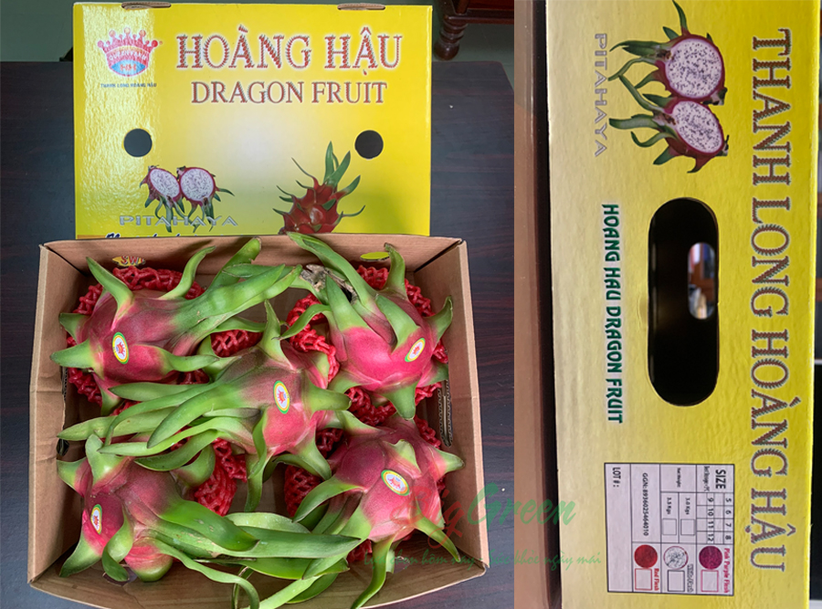 Thanh Long Trắng Hoàng Hậu