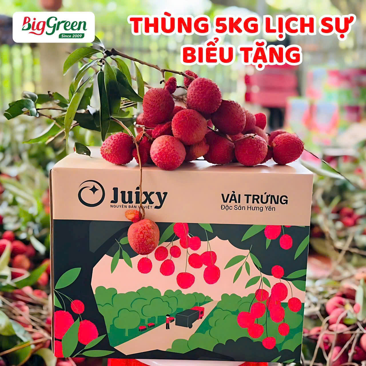 Thùng Vải Trứng tổ Hưng Yên 5kg
