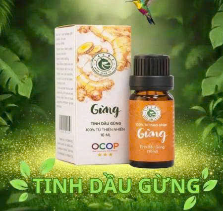 Tinh dầu Gừng nguyên chất