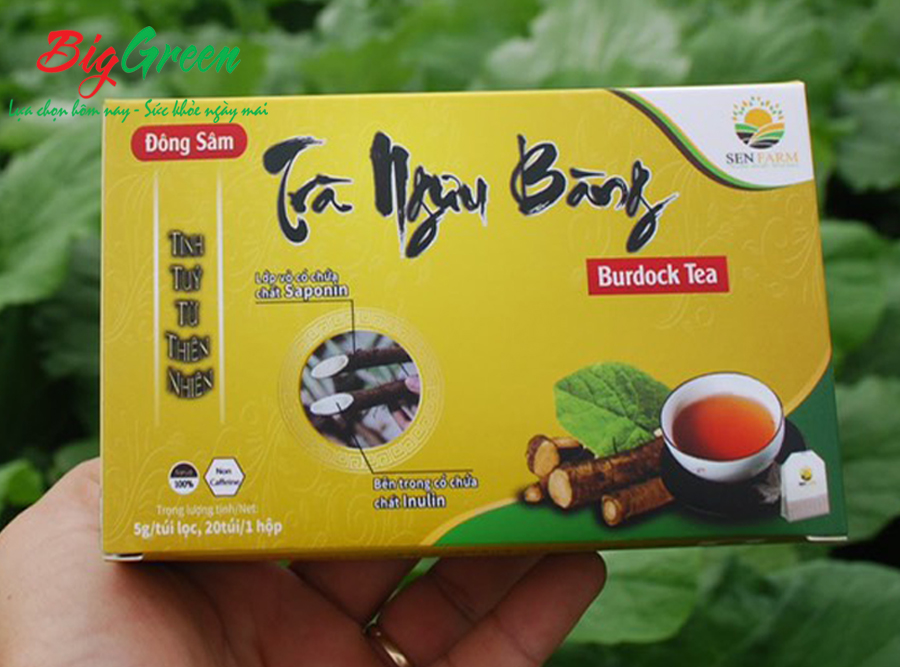 Trà ngưu bàng hộp 100g