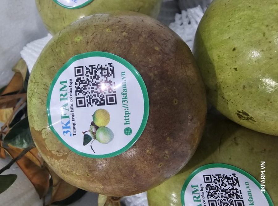 Vú sữa hữu cơ 3K Farm