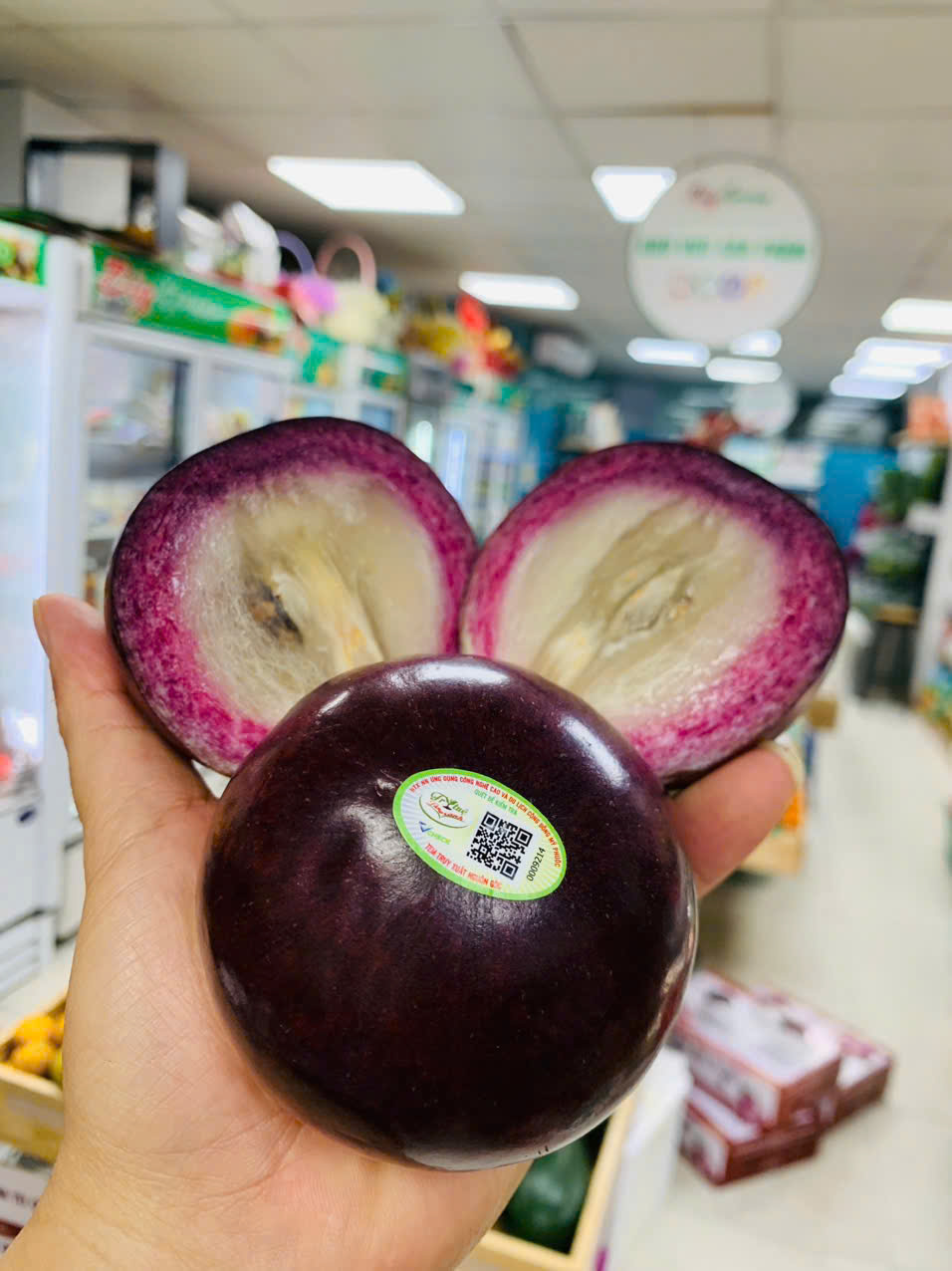 Vú Sữa tím tứ quý