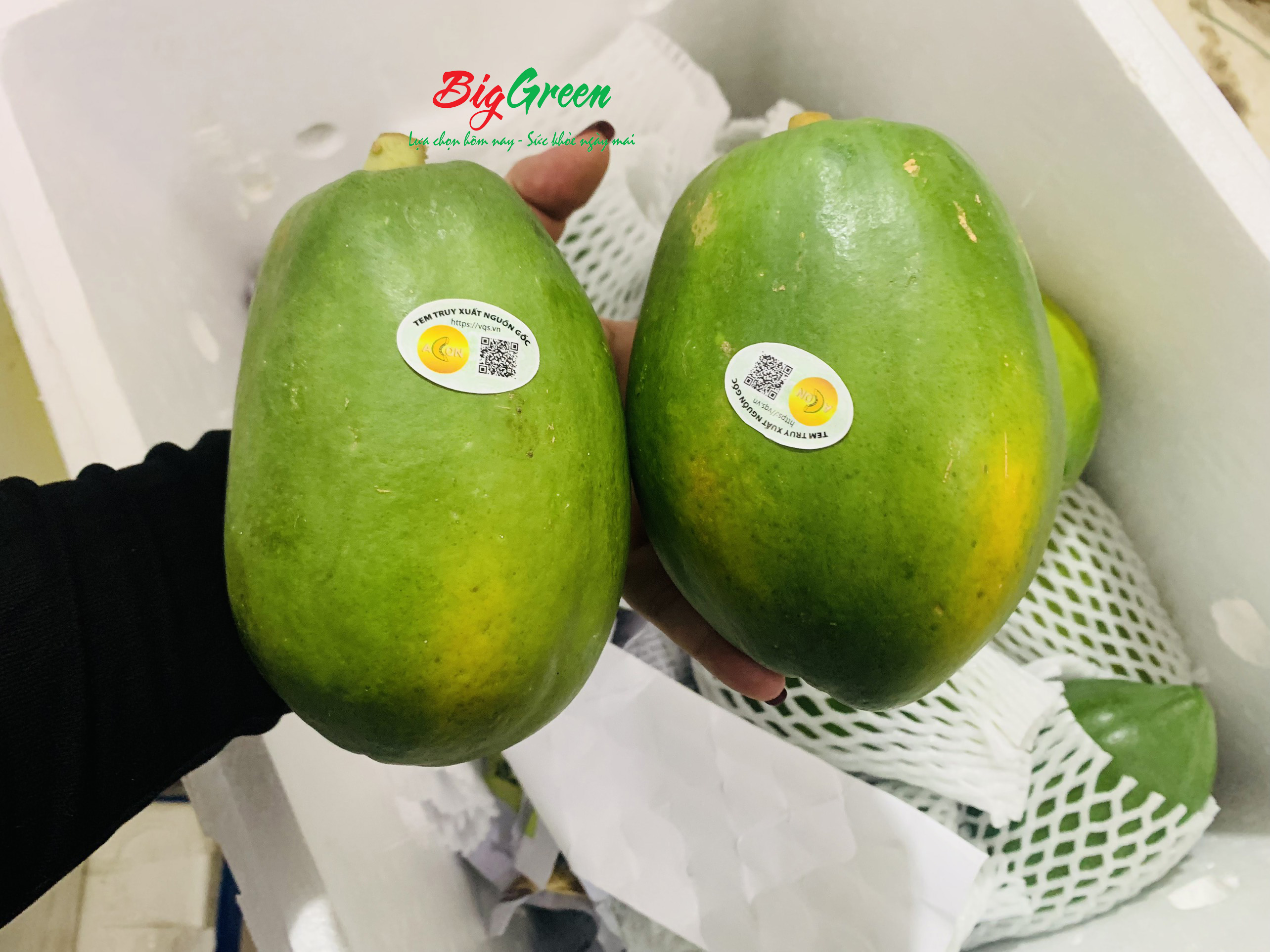 Đu Đủ Acon ruột vàng