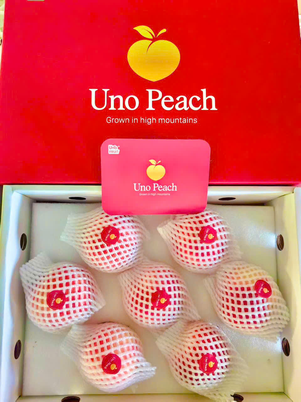 Đào Thiên Sơn Uno