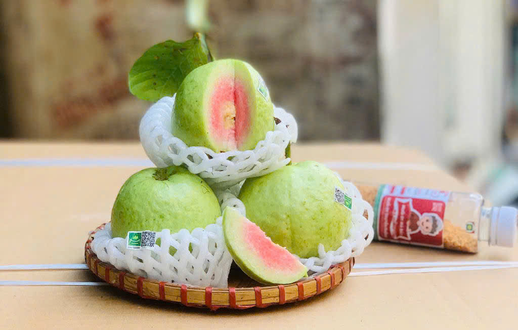 Ổi ruột đỏ