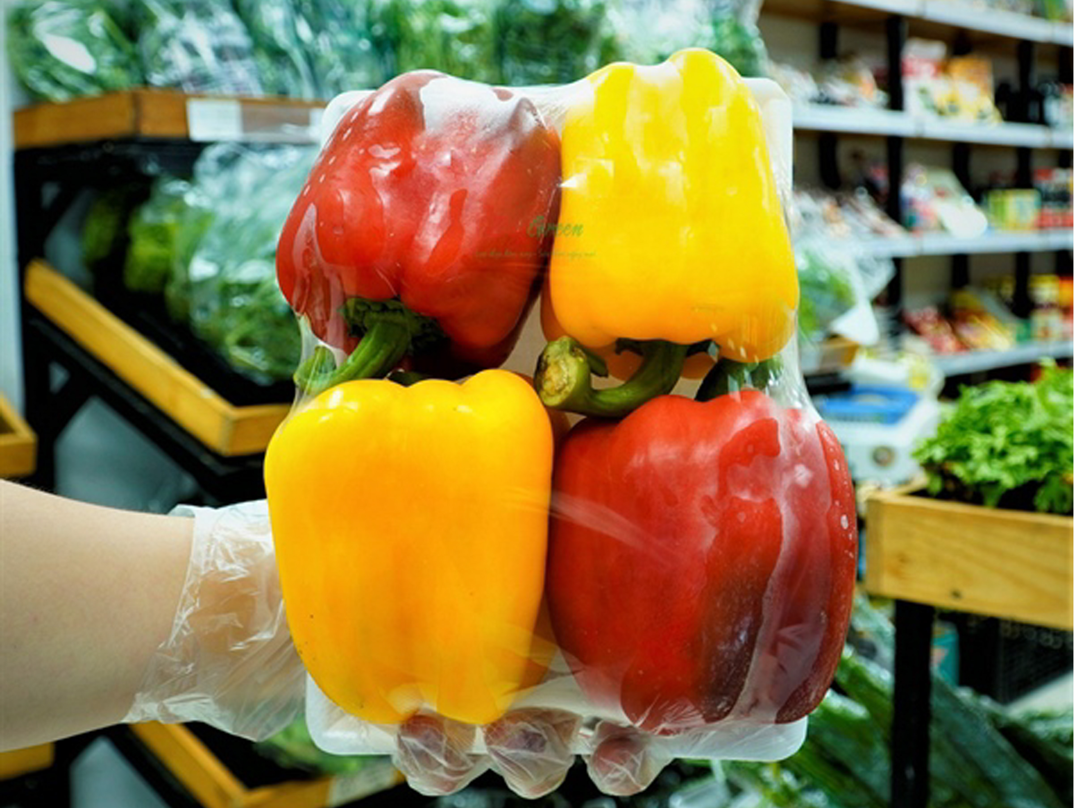 Ớt Chuông Đà Lạt